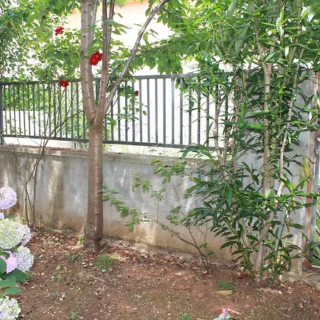 Apartment Ana Pula